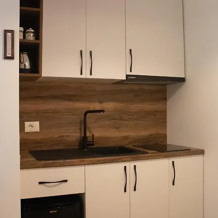 公寓 Downtown 地拉那